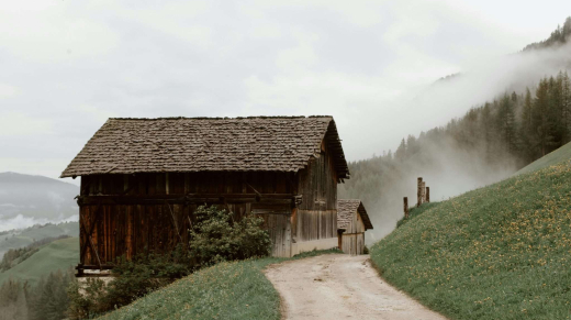 pexels-eberhardgross-4406222